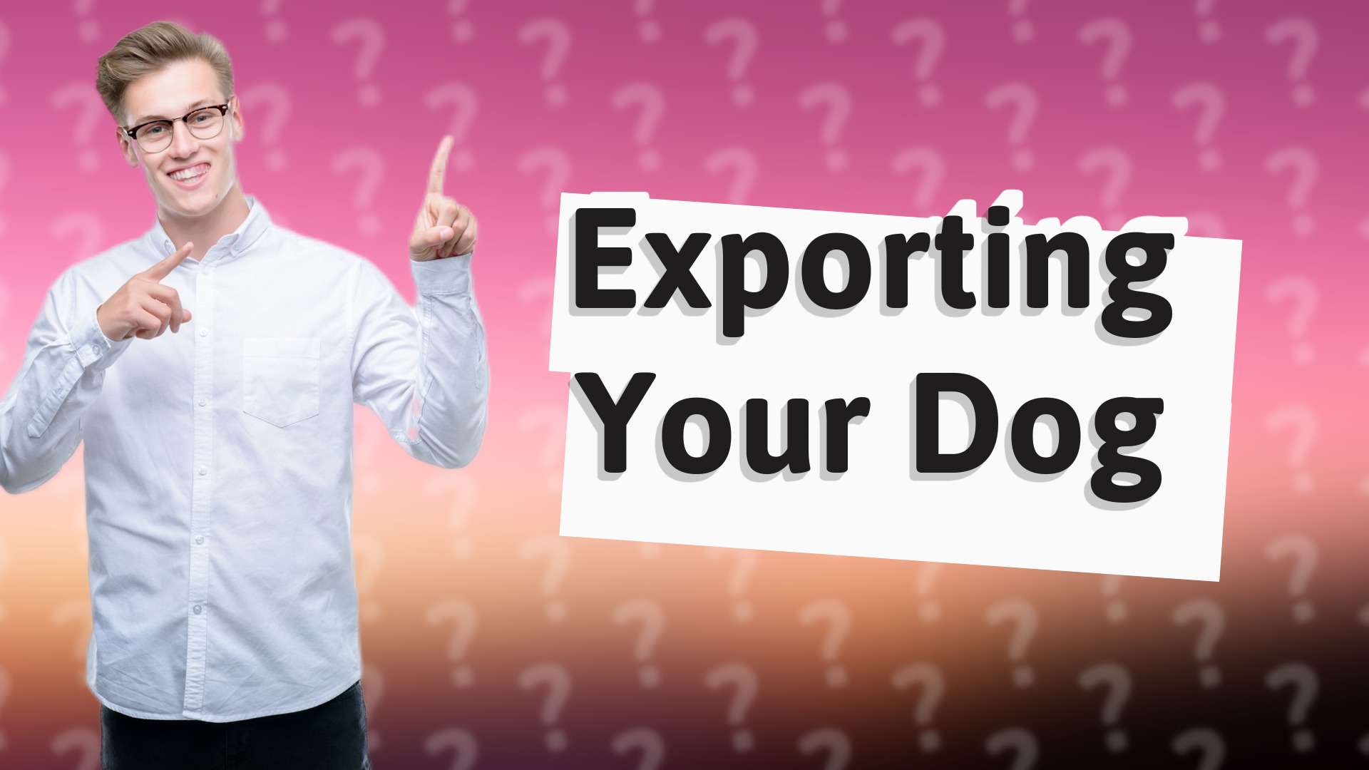 Exporting Your Dog