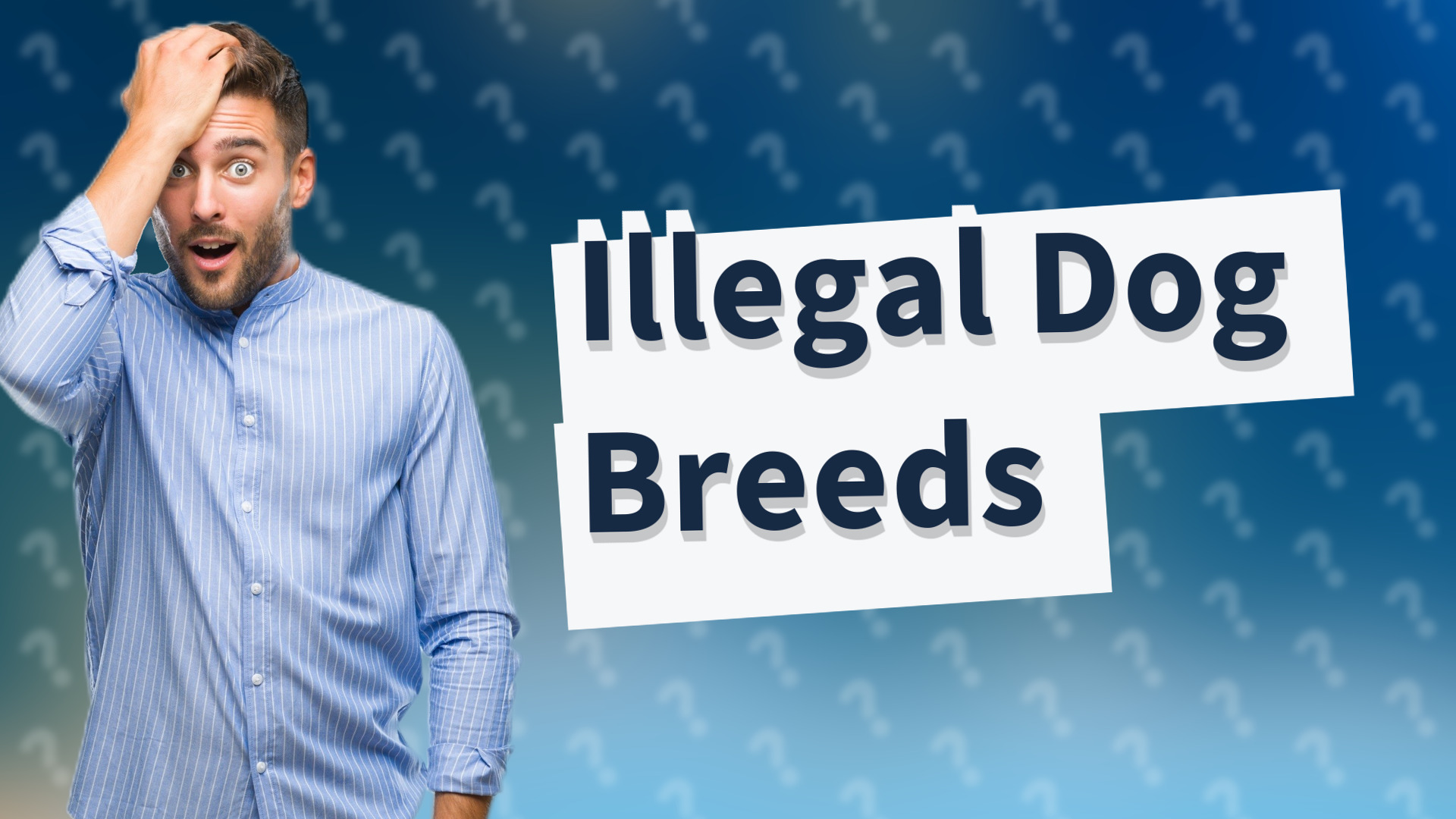 Illegal Dog Breeds