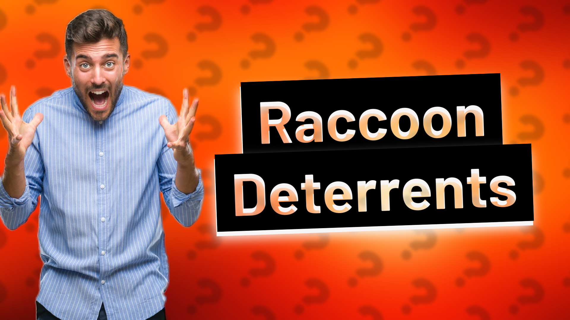 Raccoon Deterrents