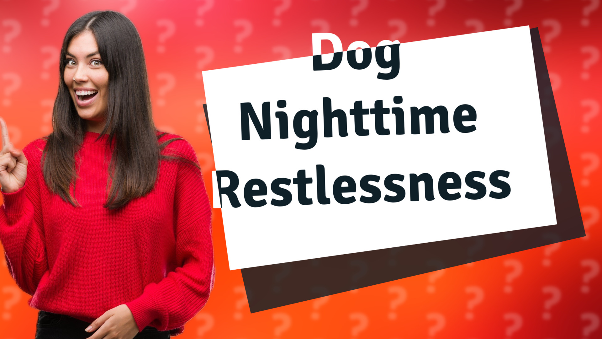 Dog Nighttime Restlessness