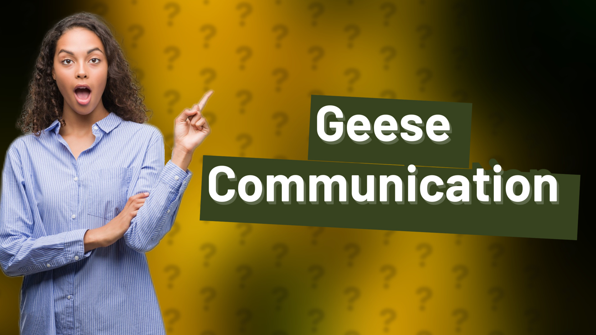 Geese Communication