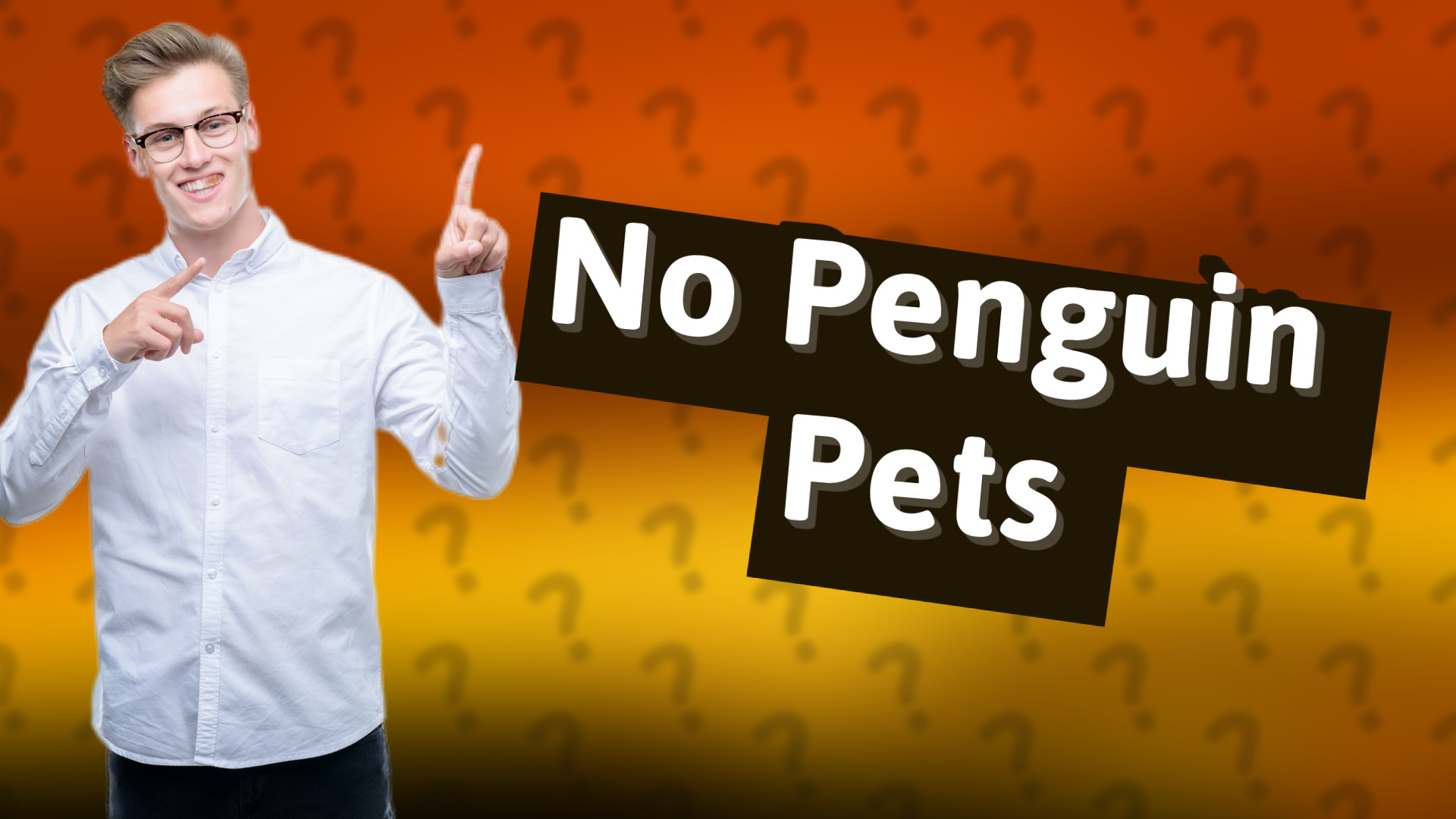No Penguin Pets