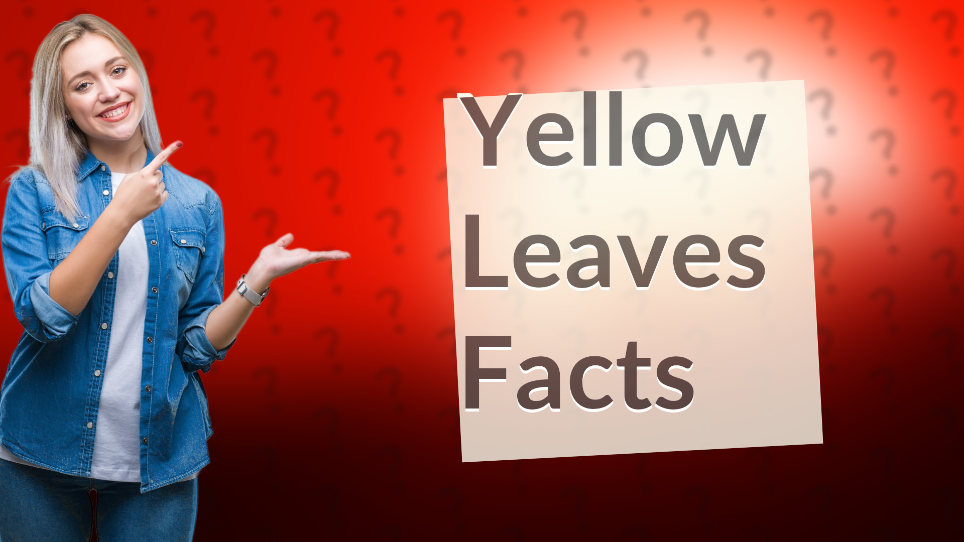 Yellow Leaves Facts