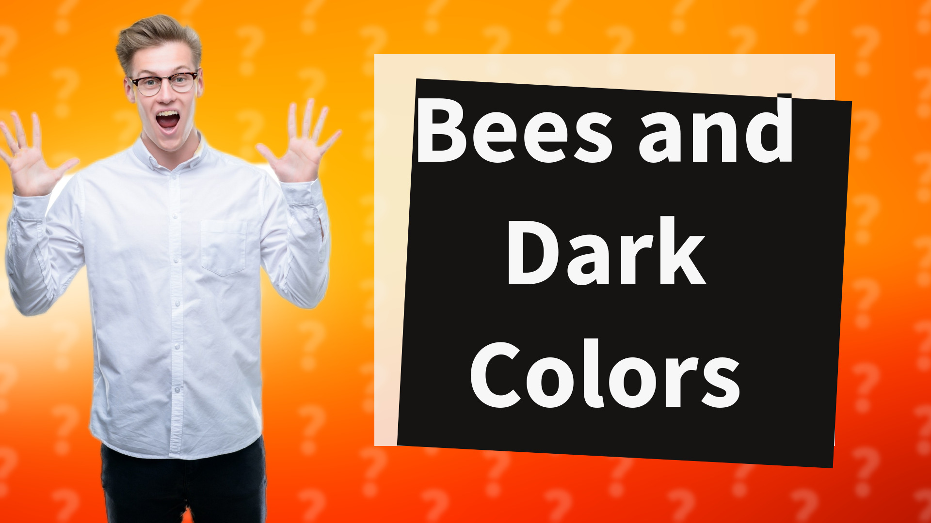 Bees and Dark Colors