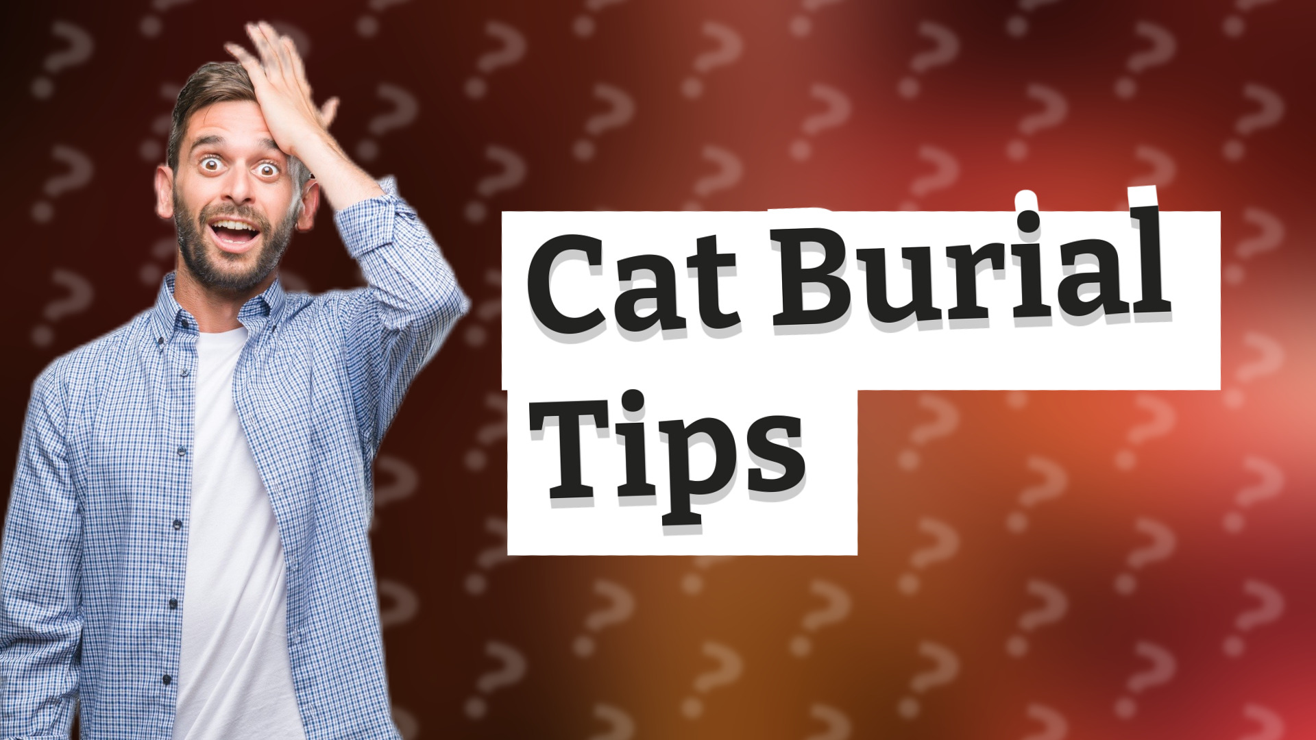 Cat Burial Tips
