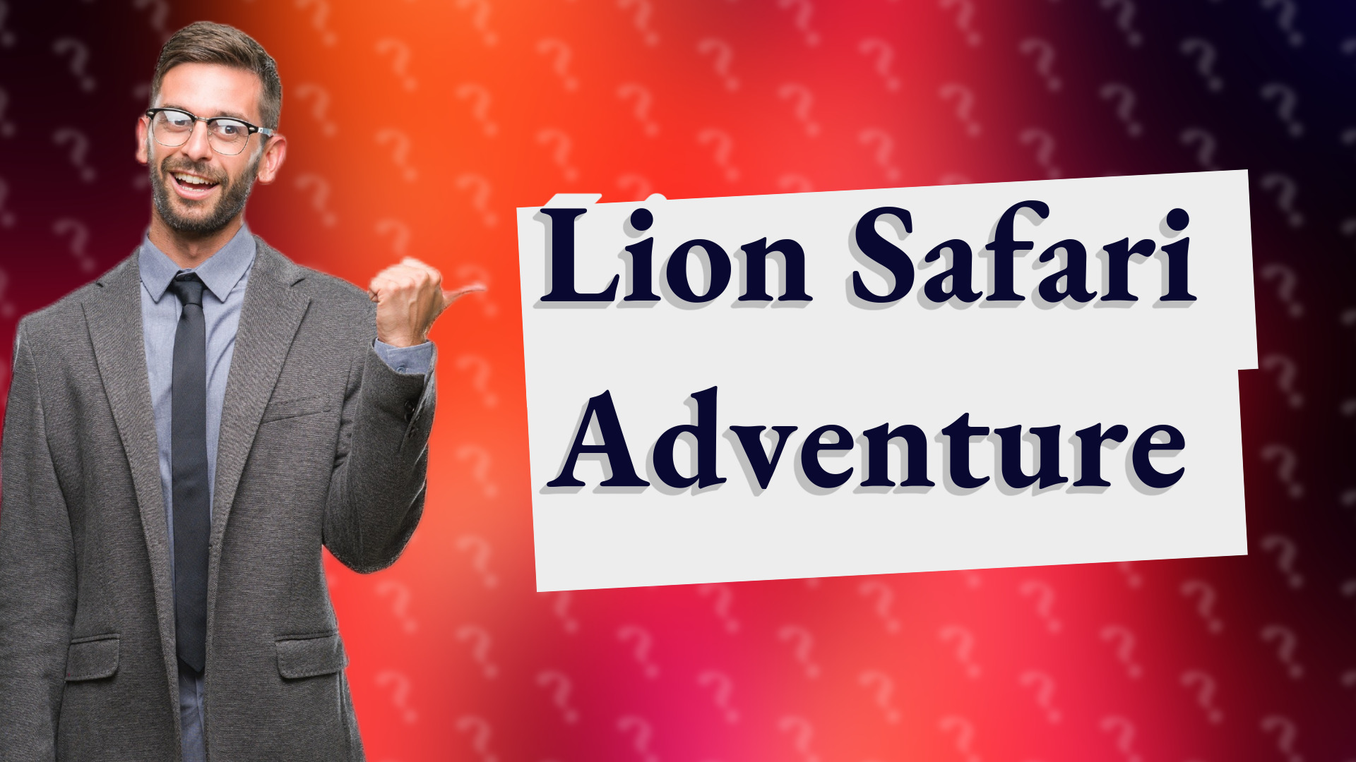 Lion Safari Adventure