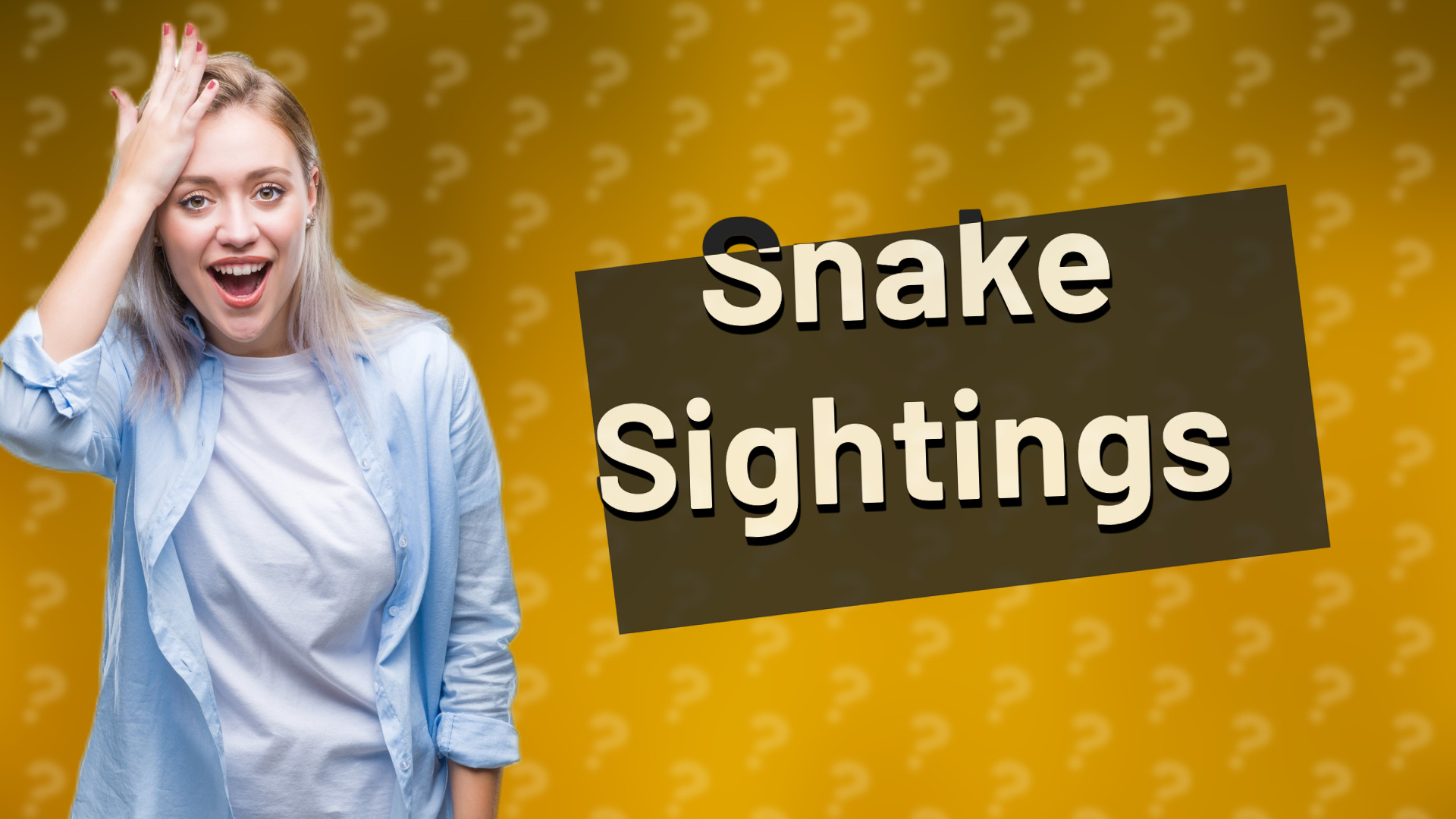 Snake Sightings