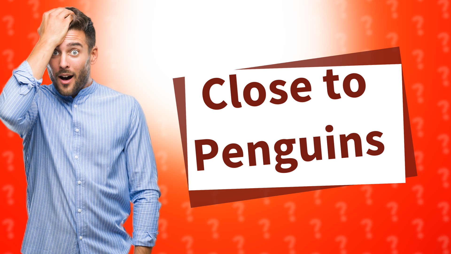 Close to Penguins