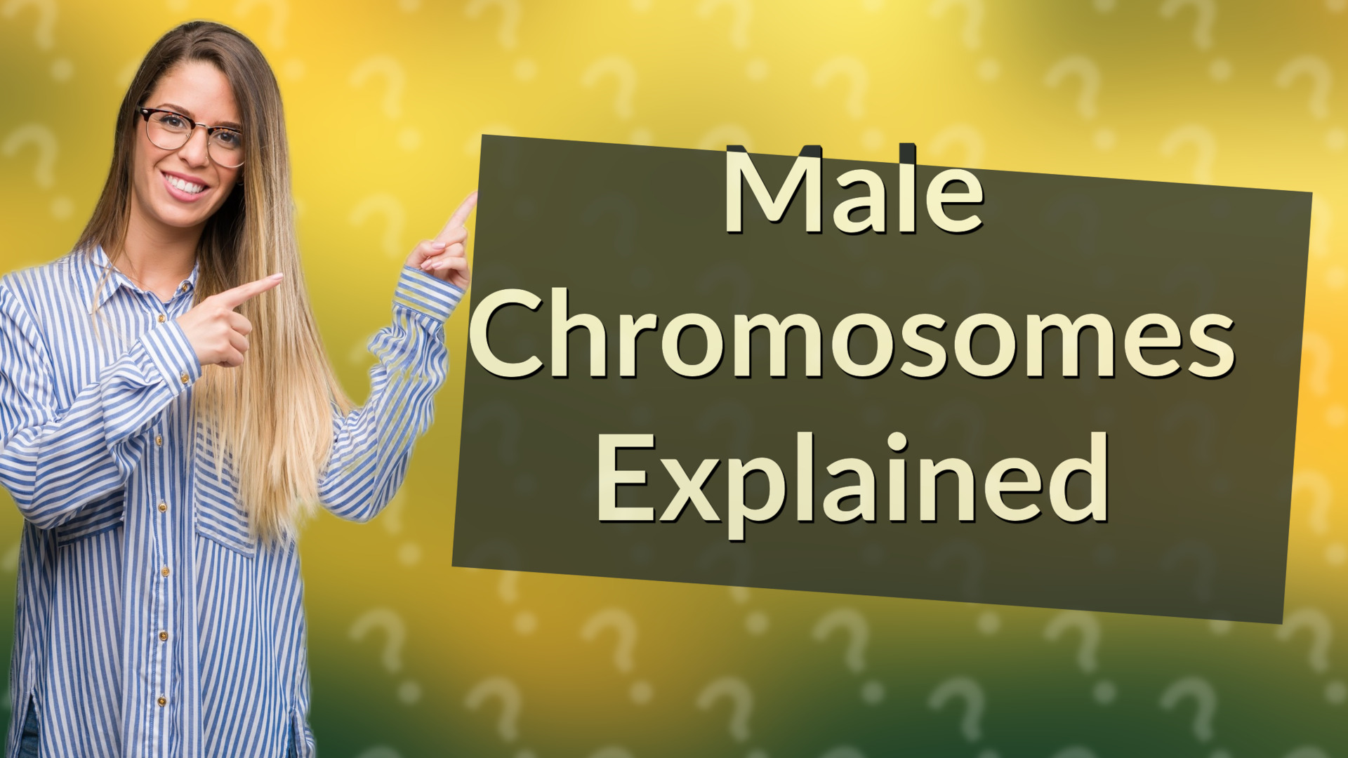 Male Chromosomes Explained