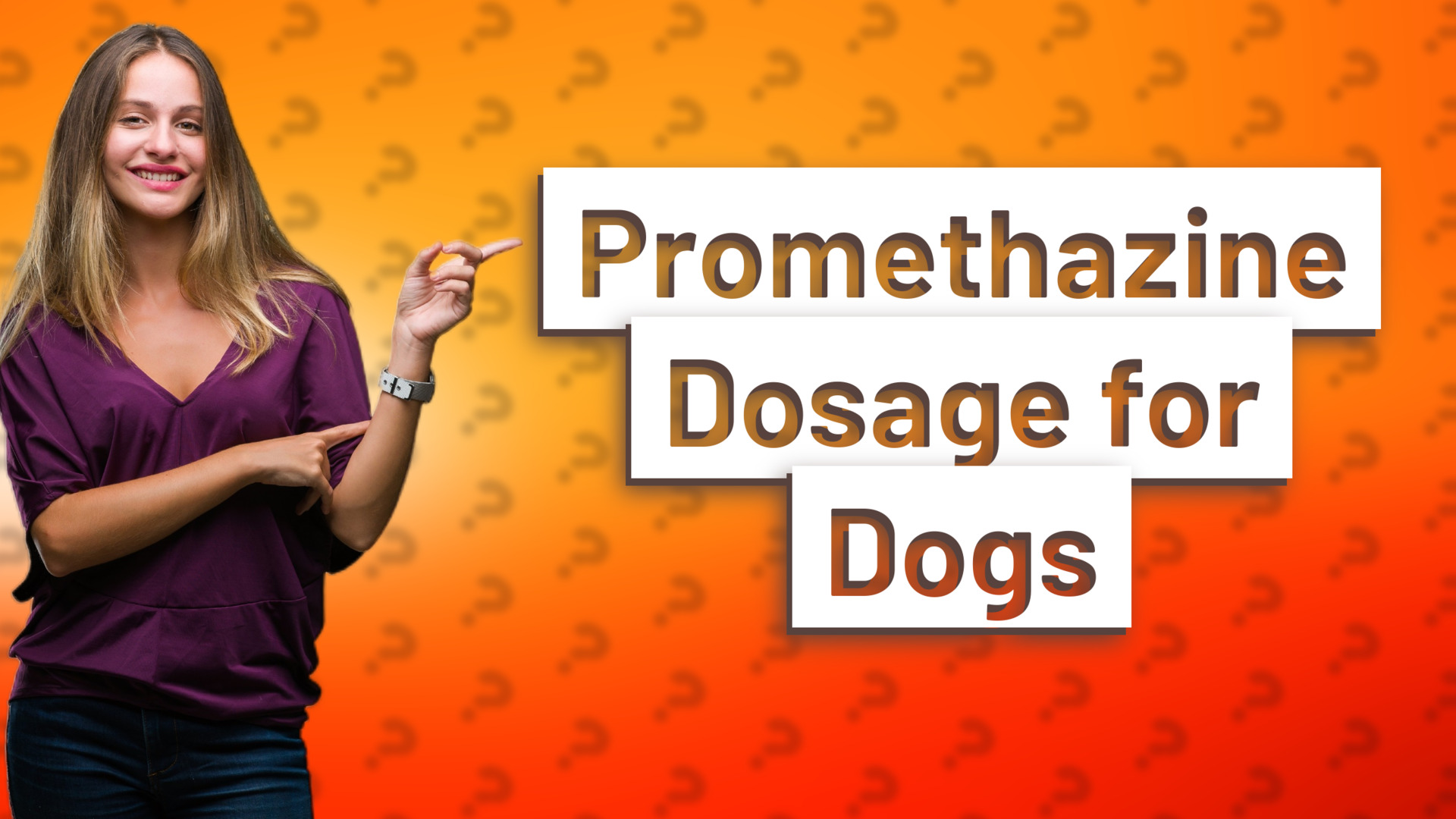 Promethazine Dosage for Dogs