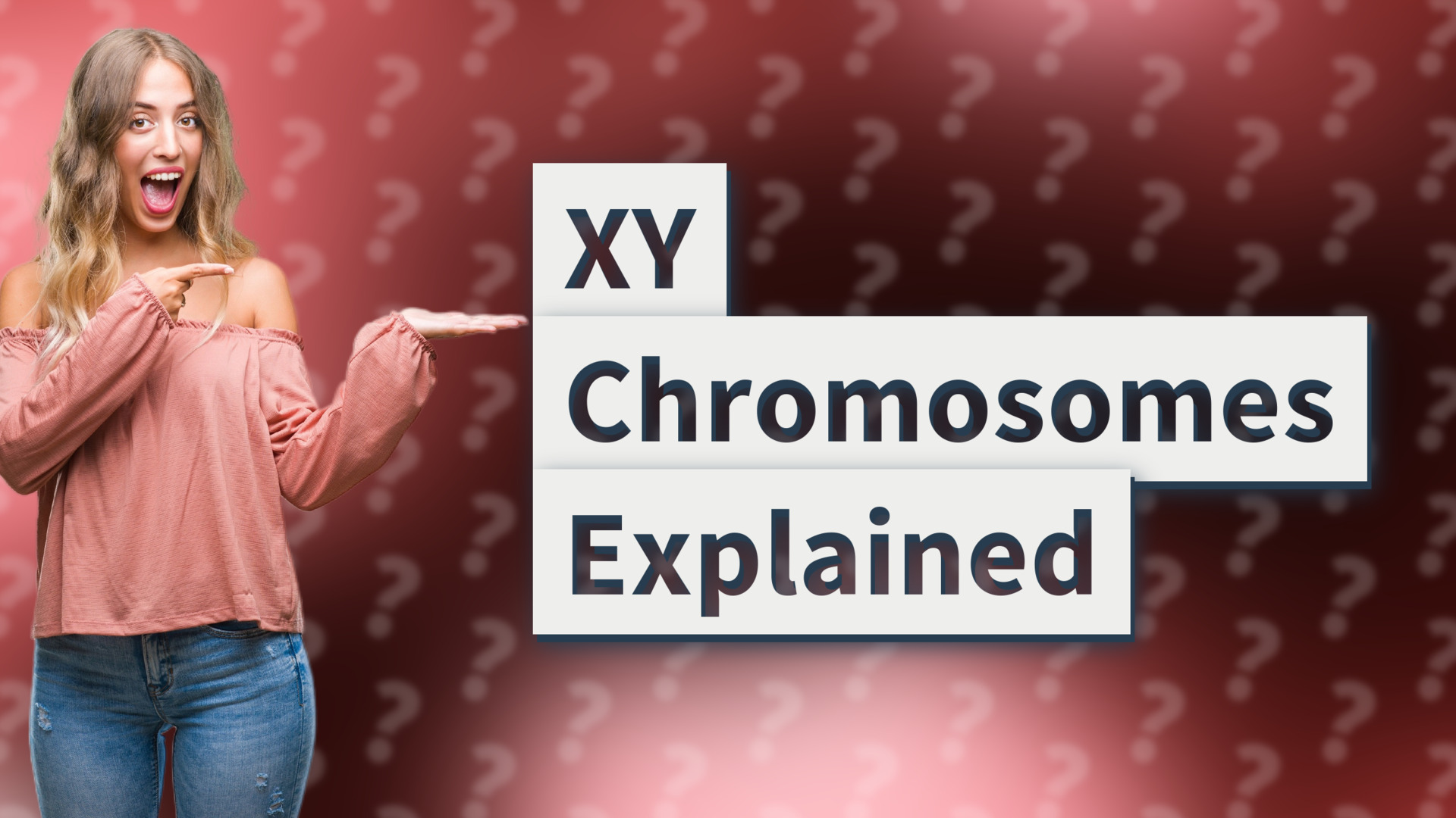 XY Chromosomes Explained