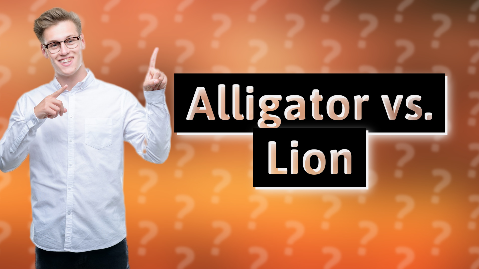 Alligator vs. Lion