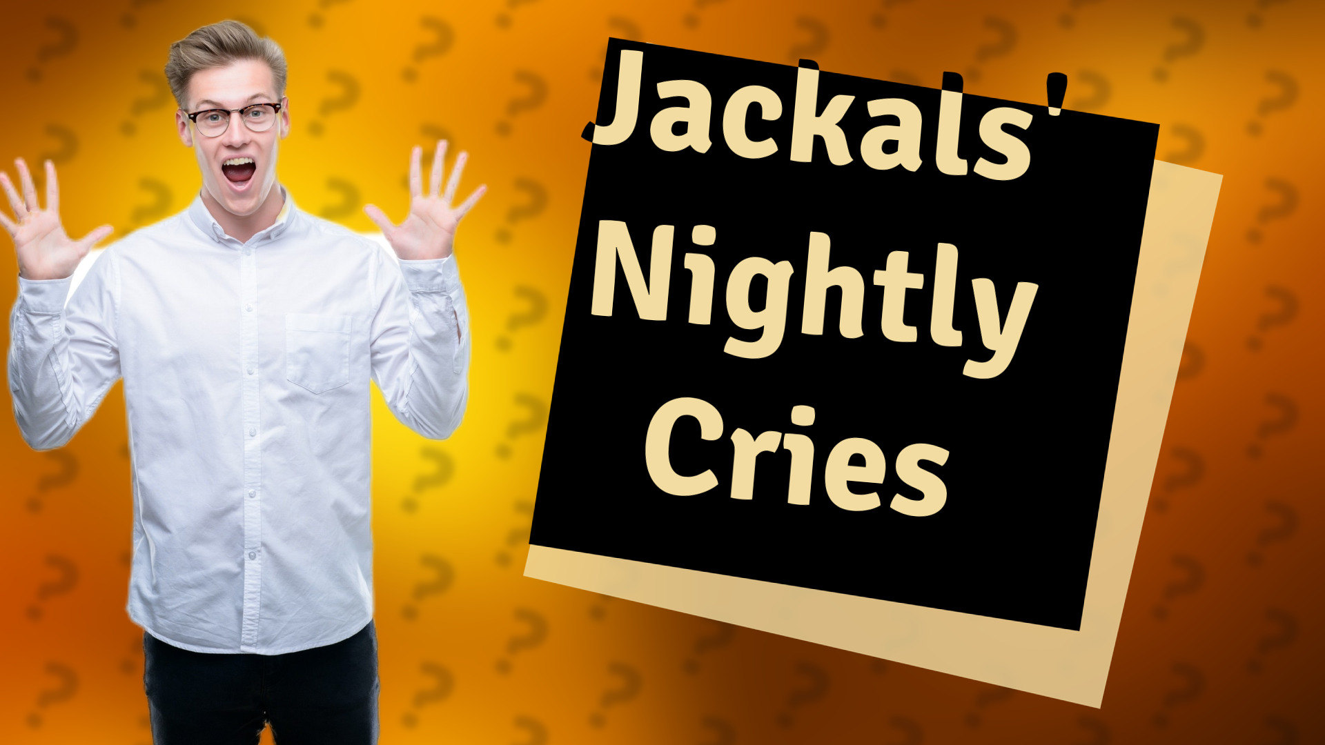 Jackals' Nightly Cries