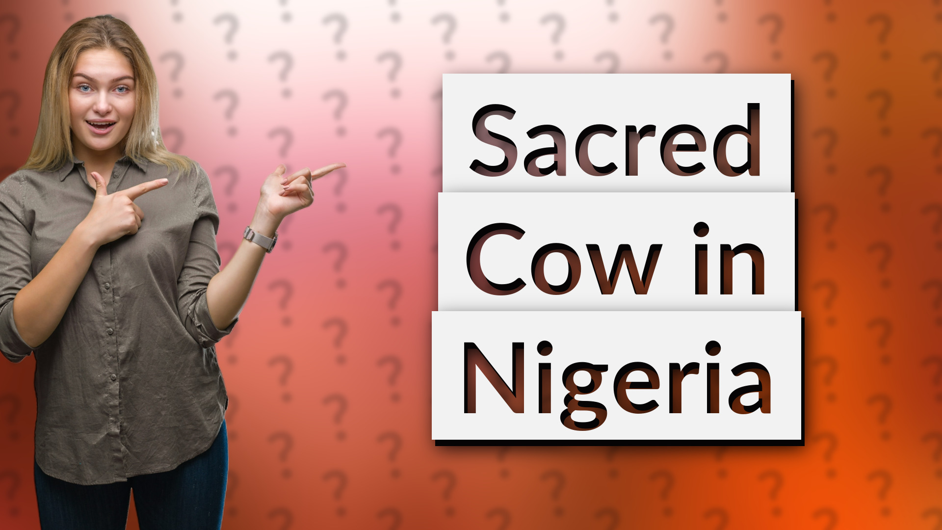 Sacred Cow in Nigeria