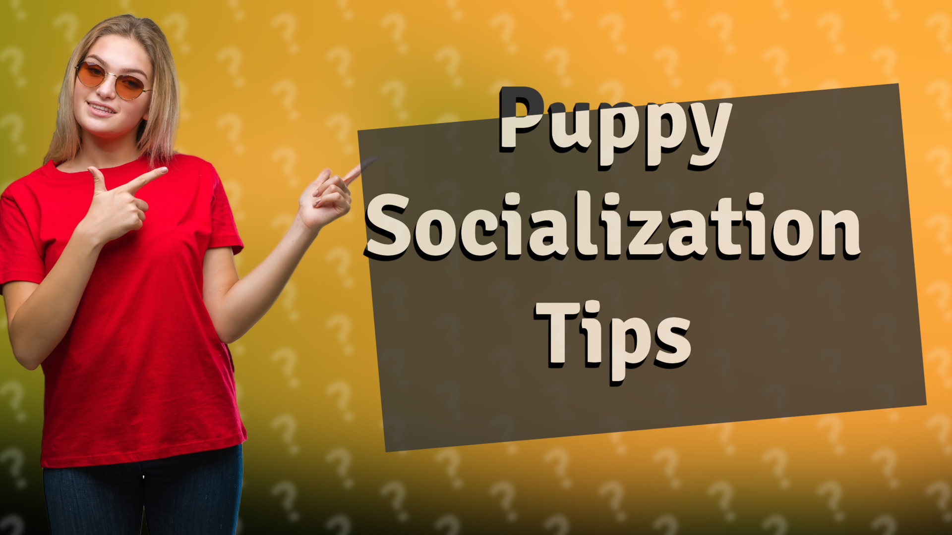 Puppy Socialization Tips