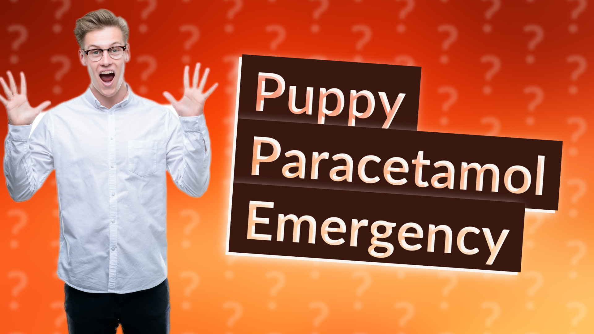 Puppy Paracetamol Emergency