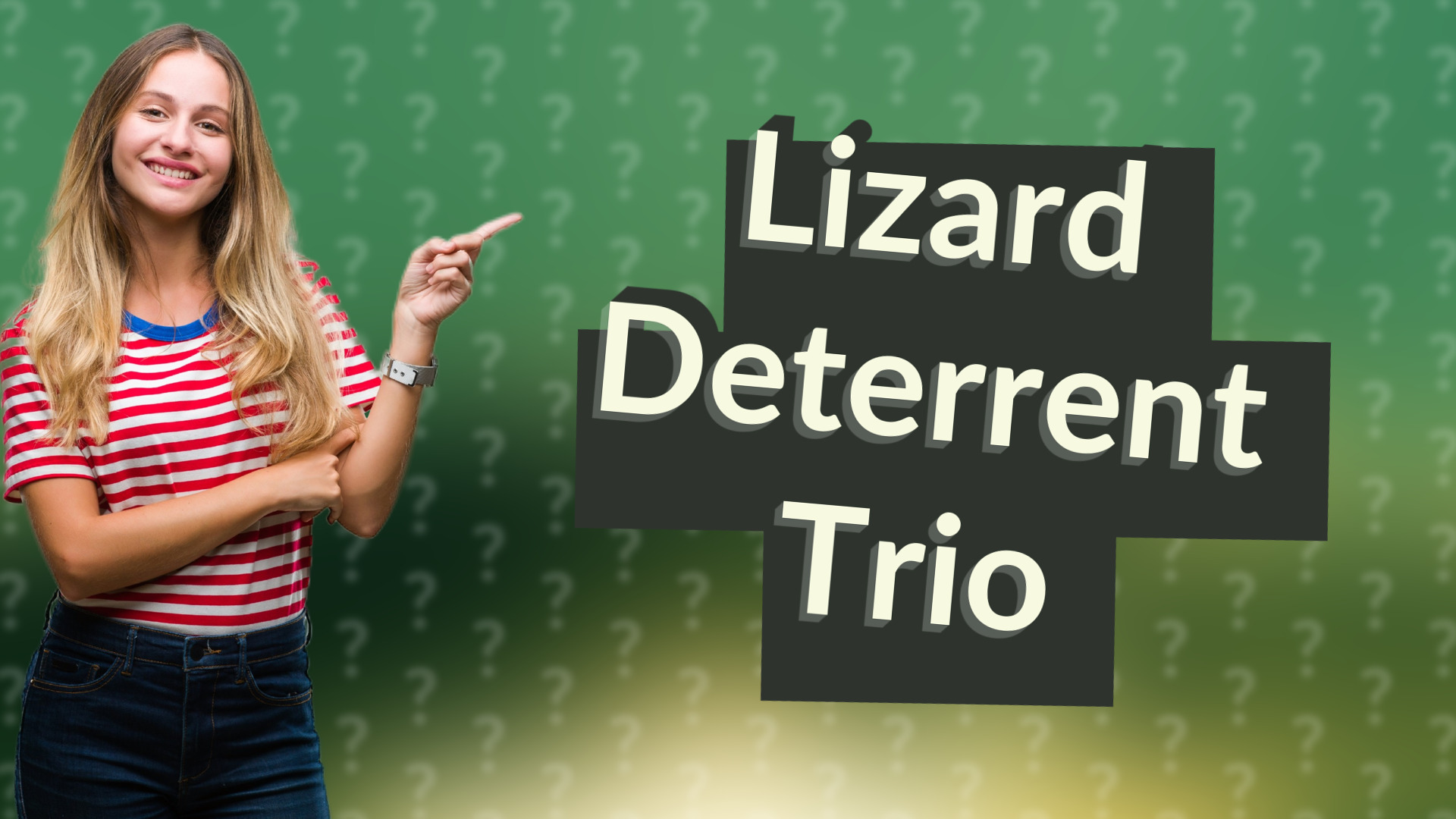 Lizard Deterrent Trio