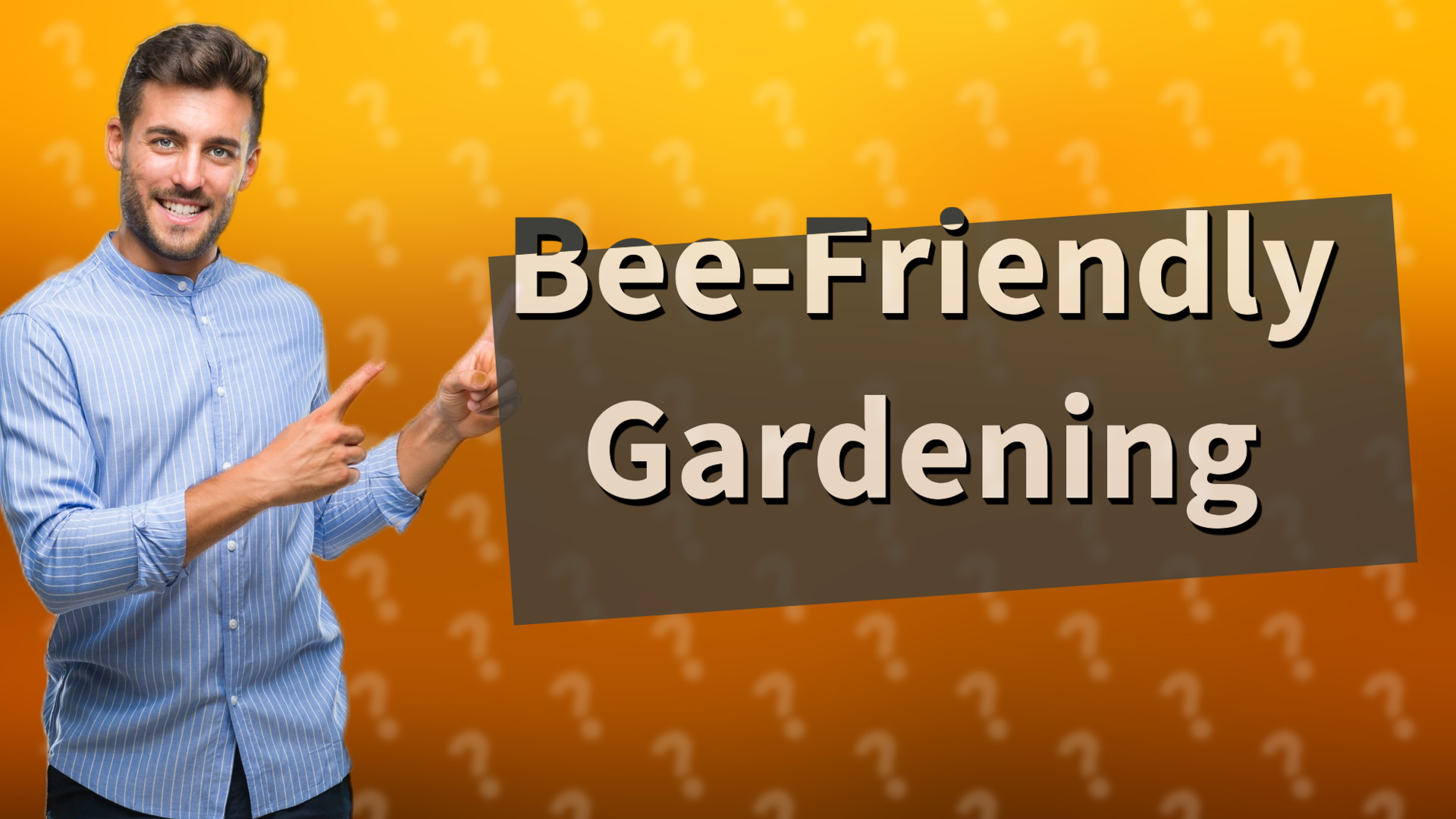 Bee-Friendly Gardening