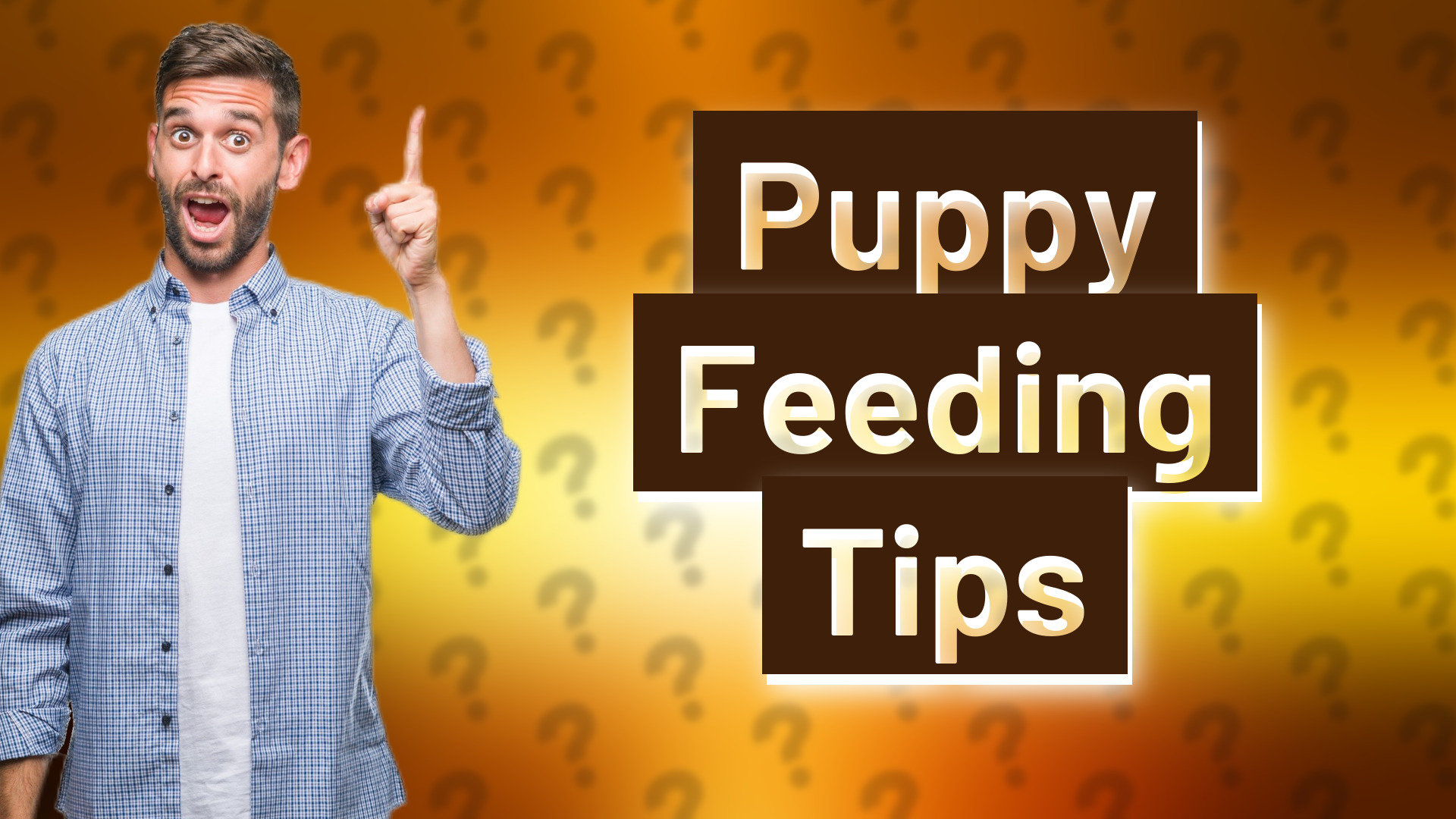 Puppy Feeding Tips