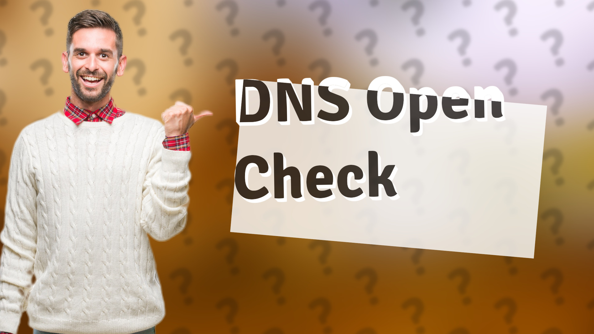 DNS Open Check