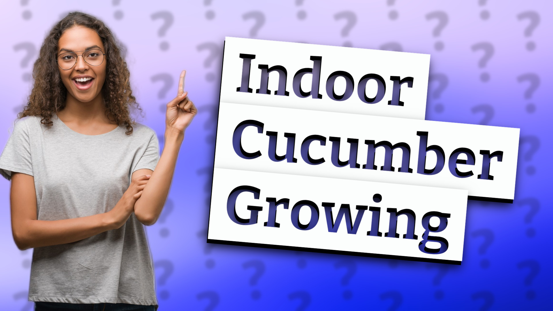 Indoor Cucumber Growing