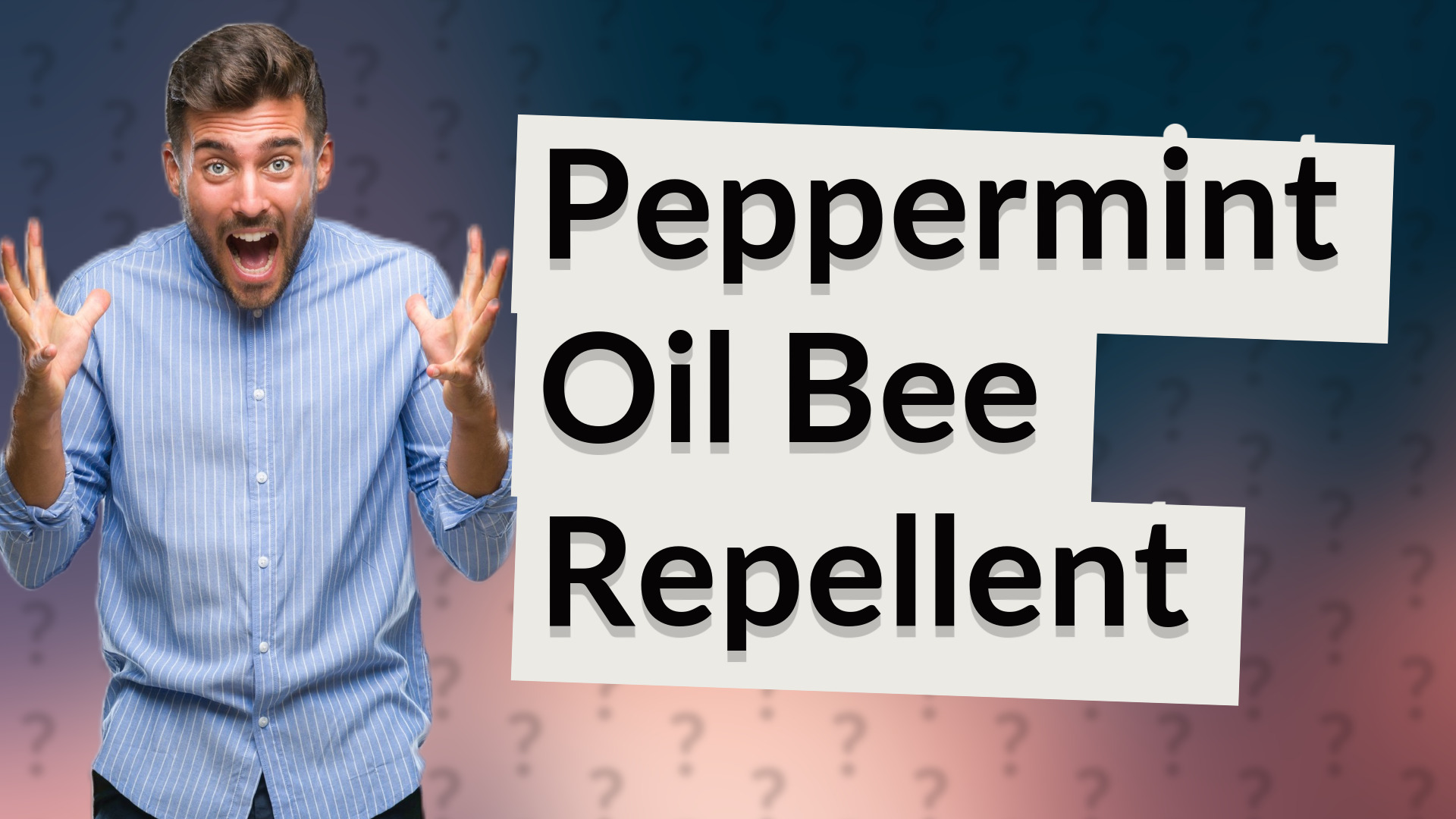Peppermint Oil Bee Repellent
