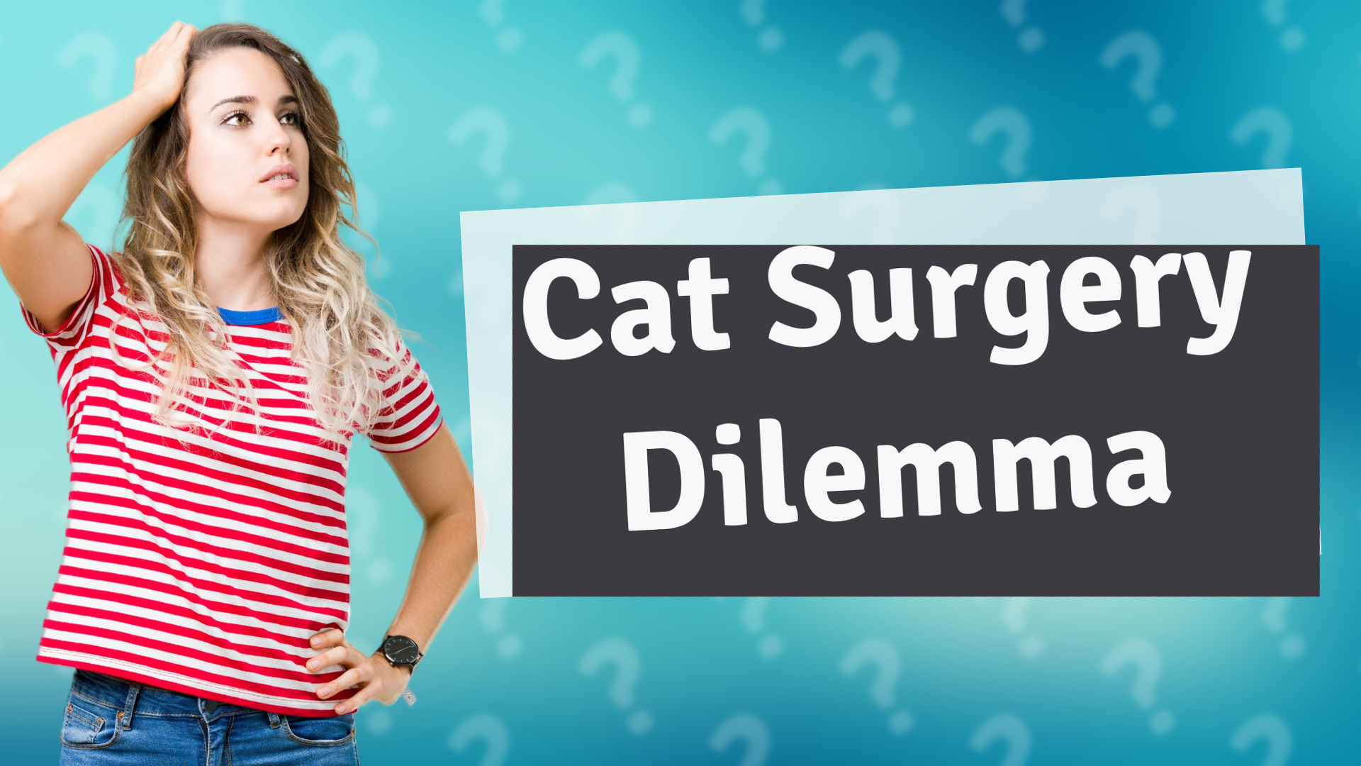 Cat Surgery Dilemma