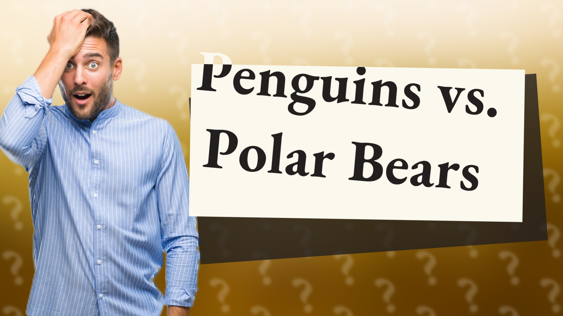 Penguins vs. Polar Bears