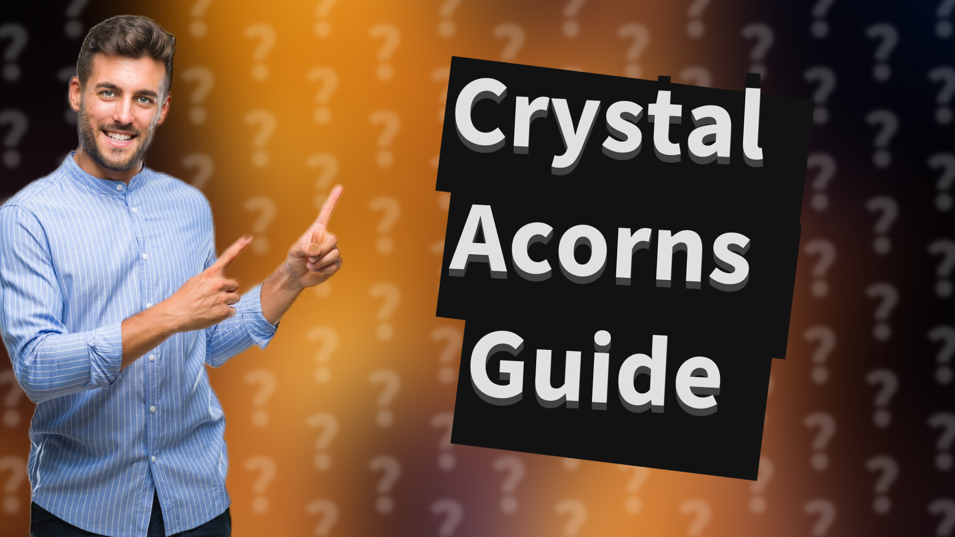 Crystal Acorns Guide