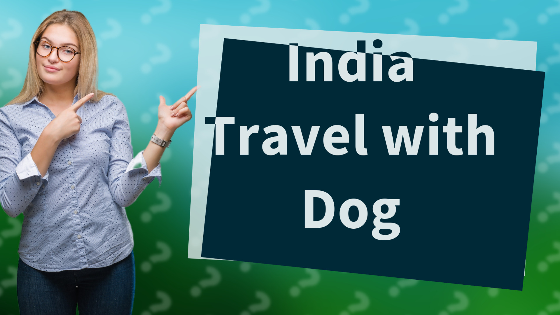India Travel with Dog