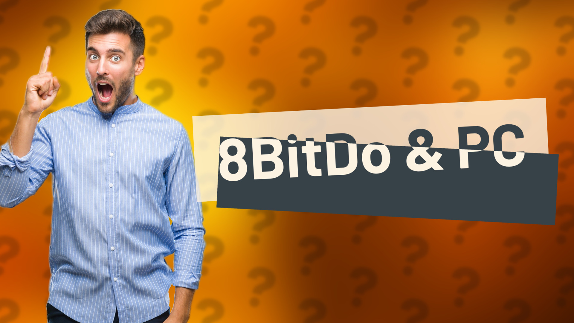 8BitDo & PC