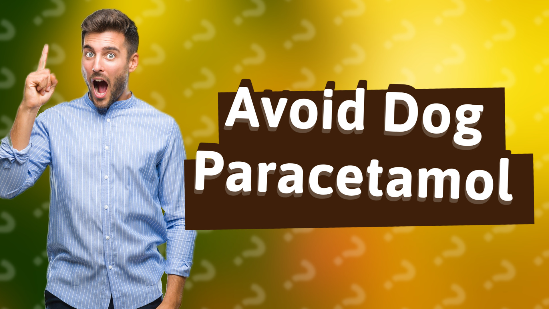 Avoid Dog Paracetamol