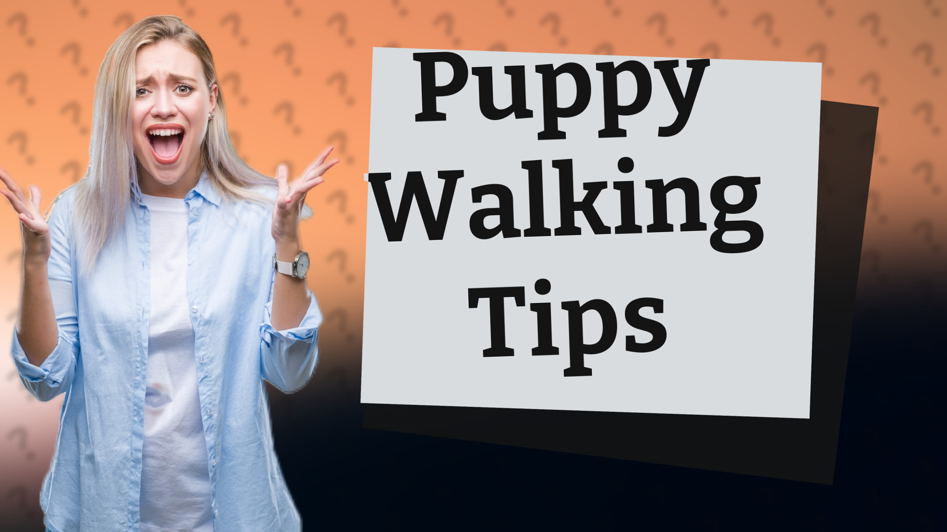 Puppy Walking Tips