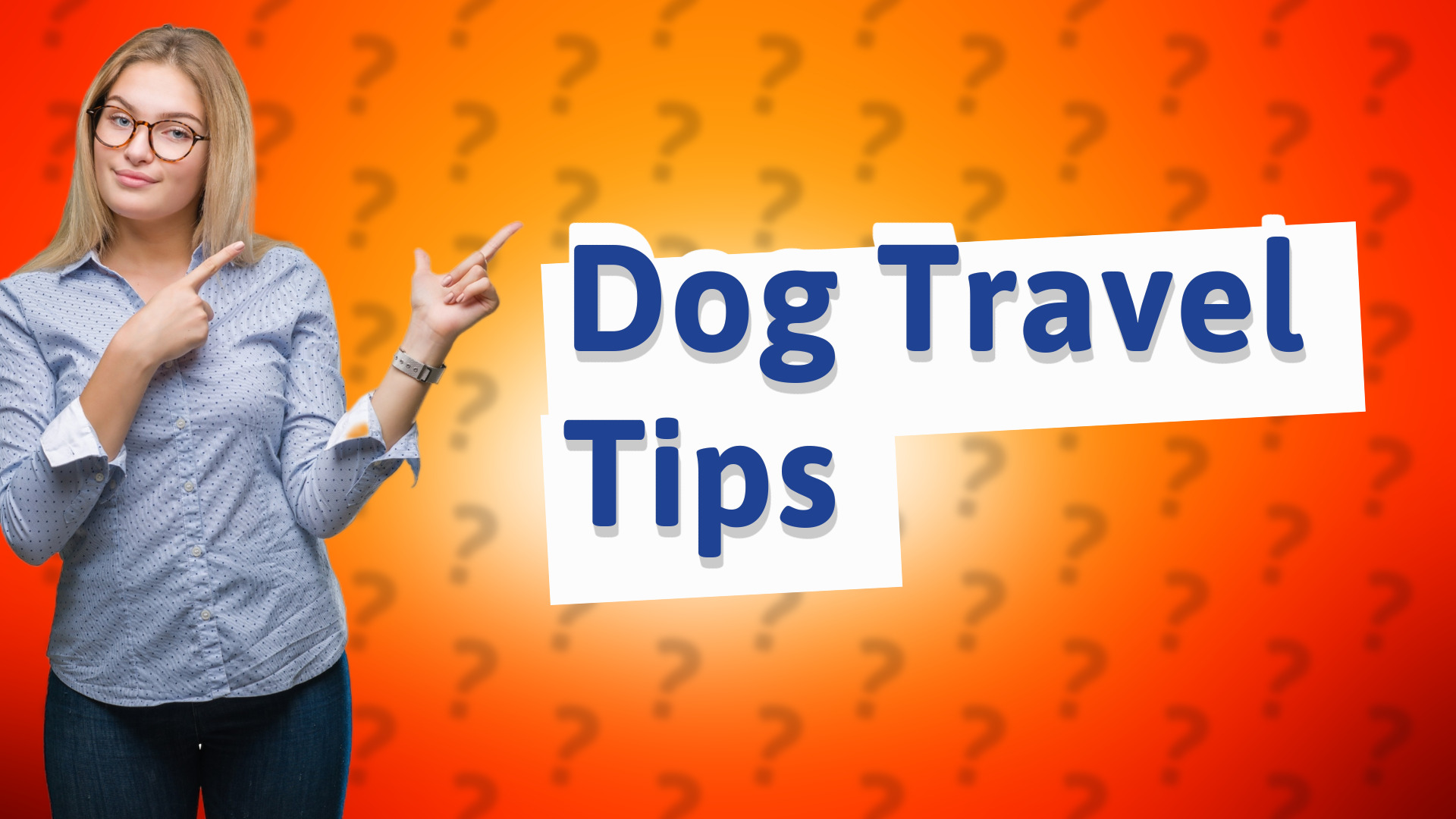 Dog Travel Tips