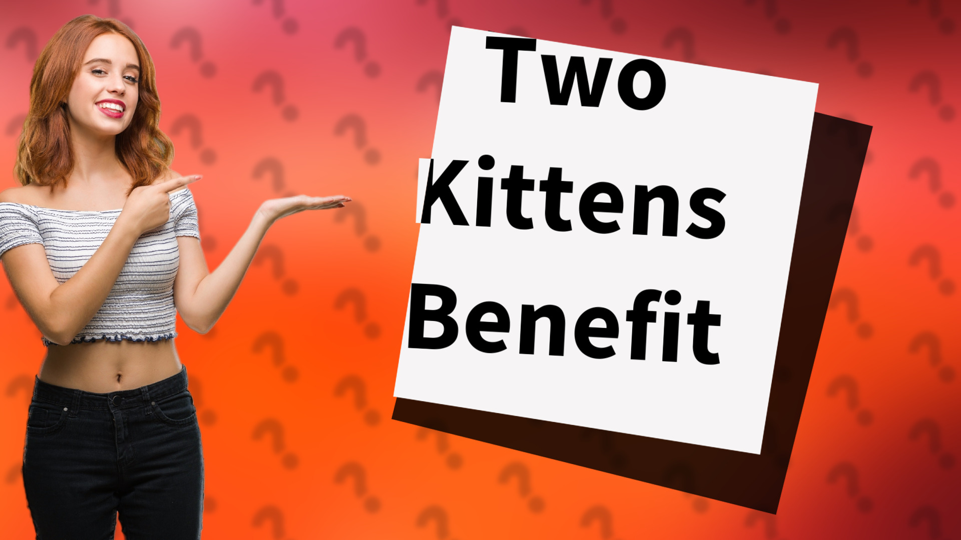 Two Kittens Benefit