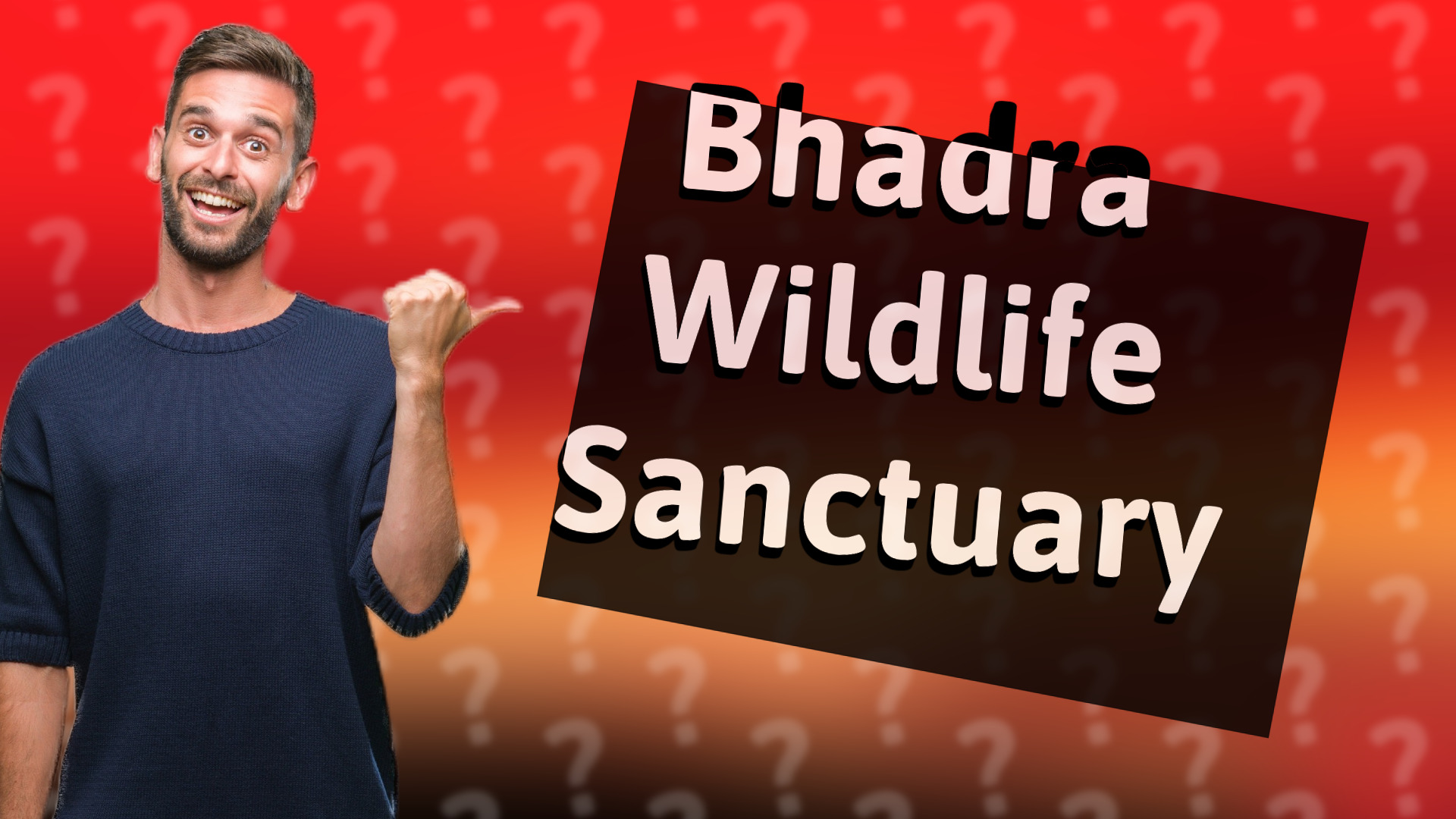 Bhadra Wildlife Sanctuary