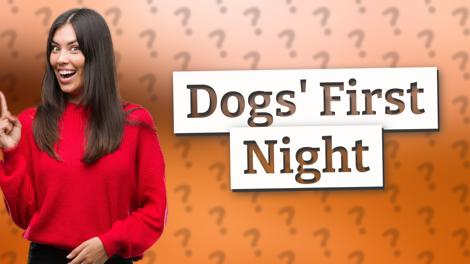 Dogs' First Night