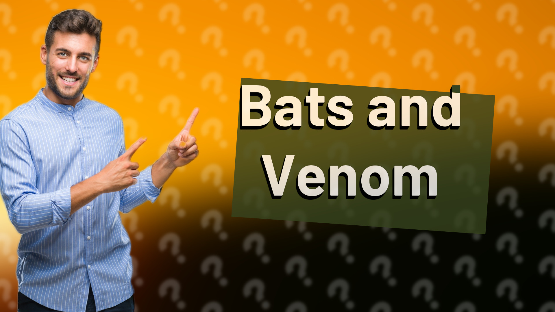 Bats and Venom