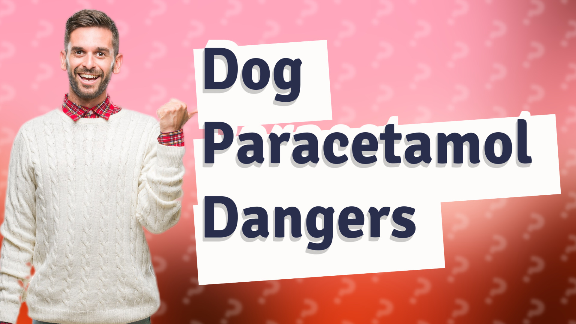 Dog Paracetamol Dangers