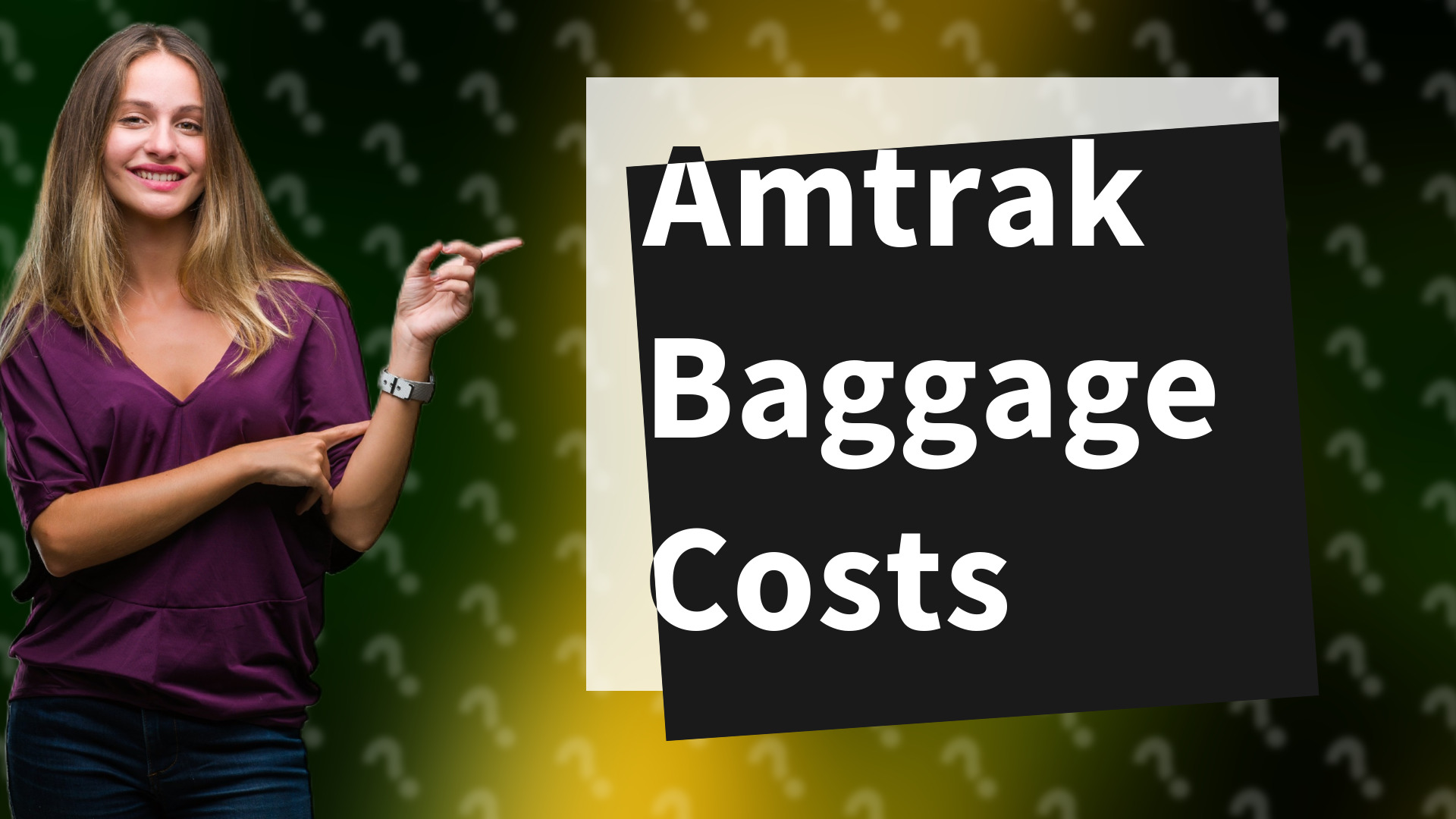 Amtrak Baggage Costs