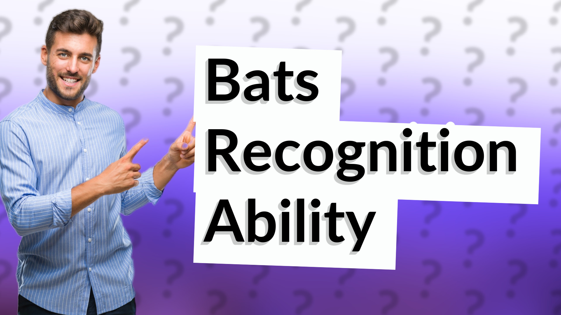 Bats Recognition Ability