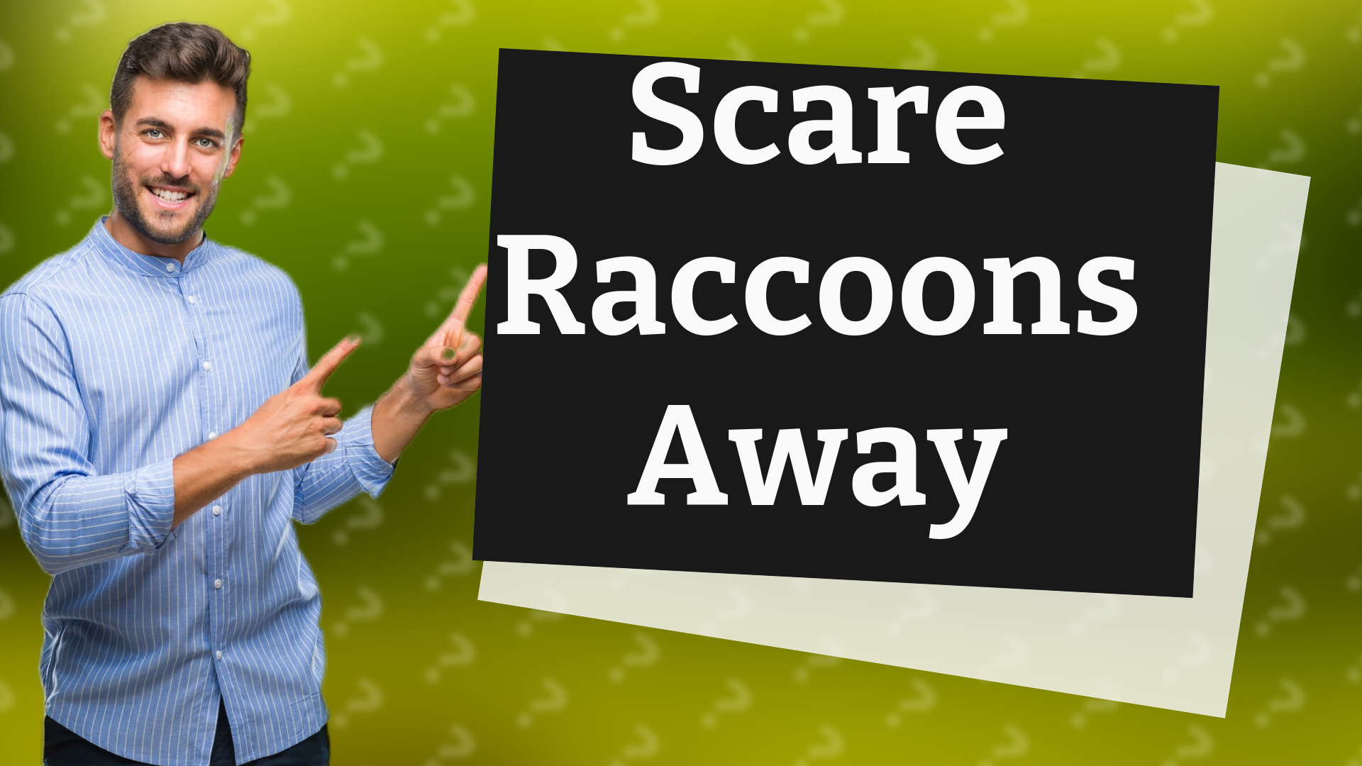 Scare Raccoons Away