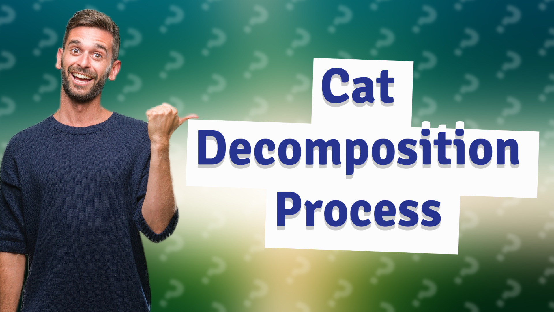 Cat Decomposition Process