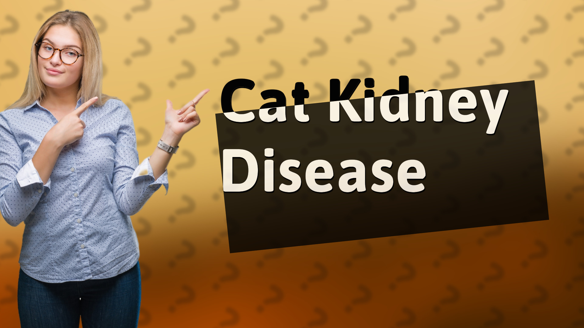 Cat Kidney Disease
