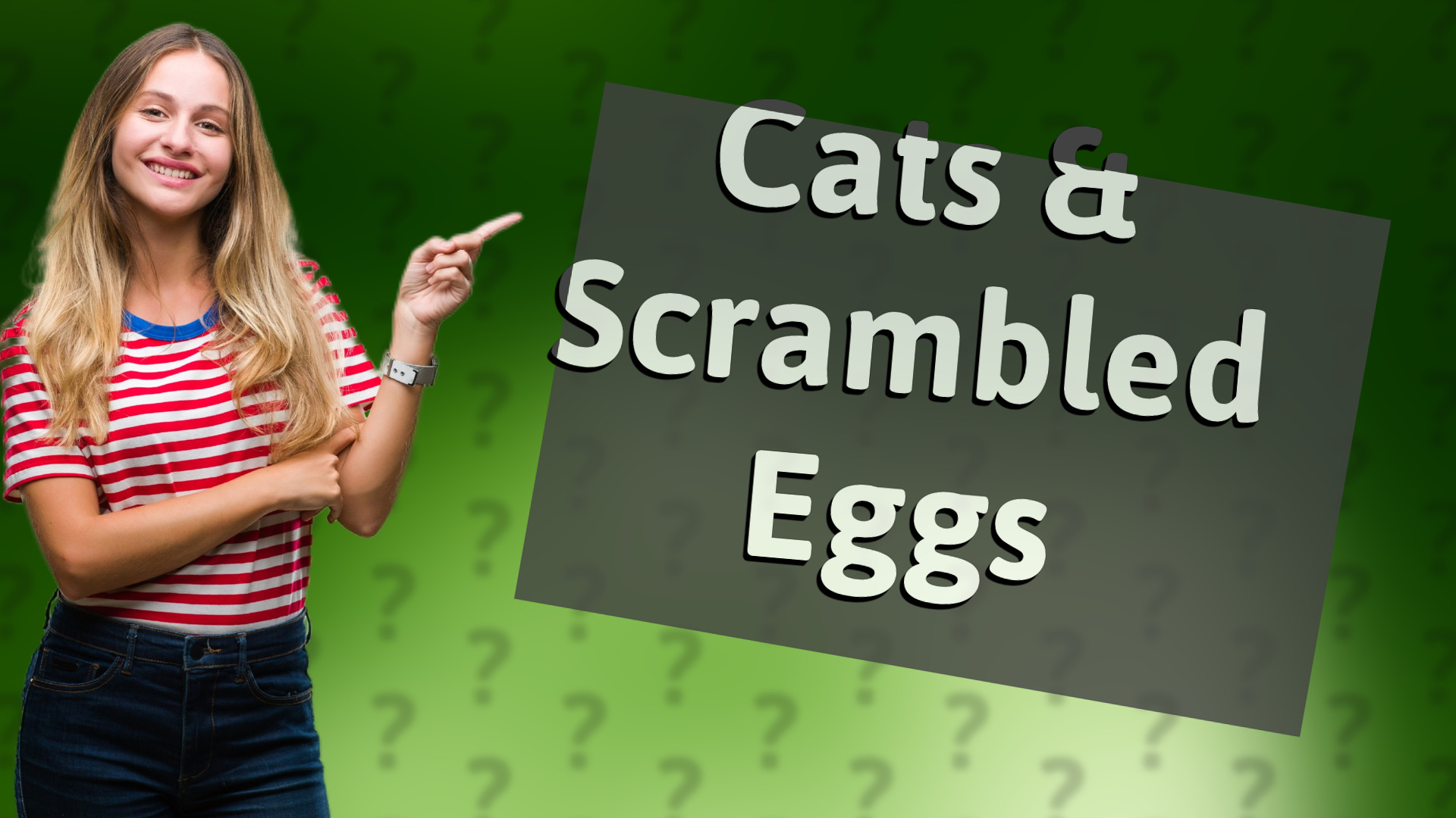 Cats & Scrambled Eggs