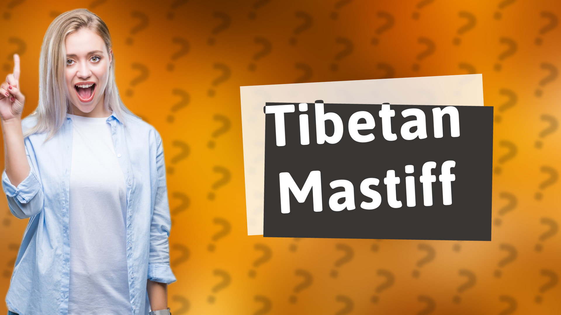 Tibetan Mastiff
