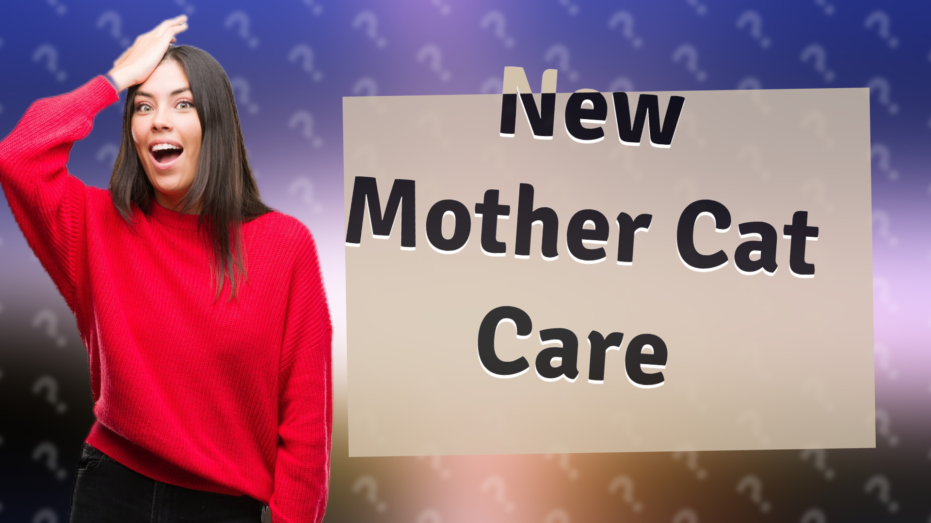 New Mother Cat Care