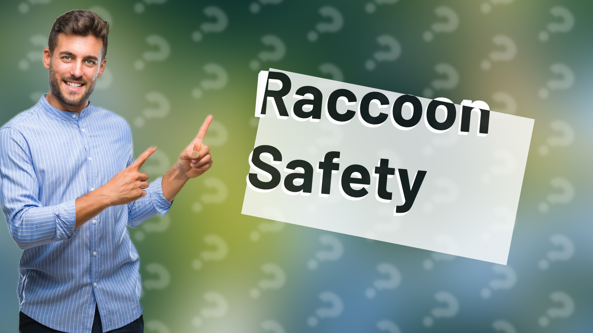 Raccoon Safety