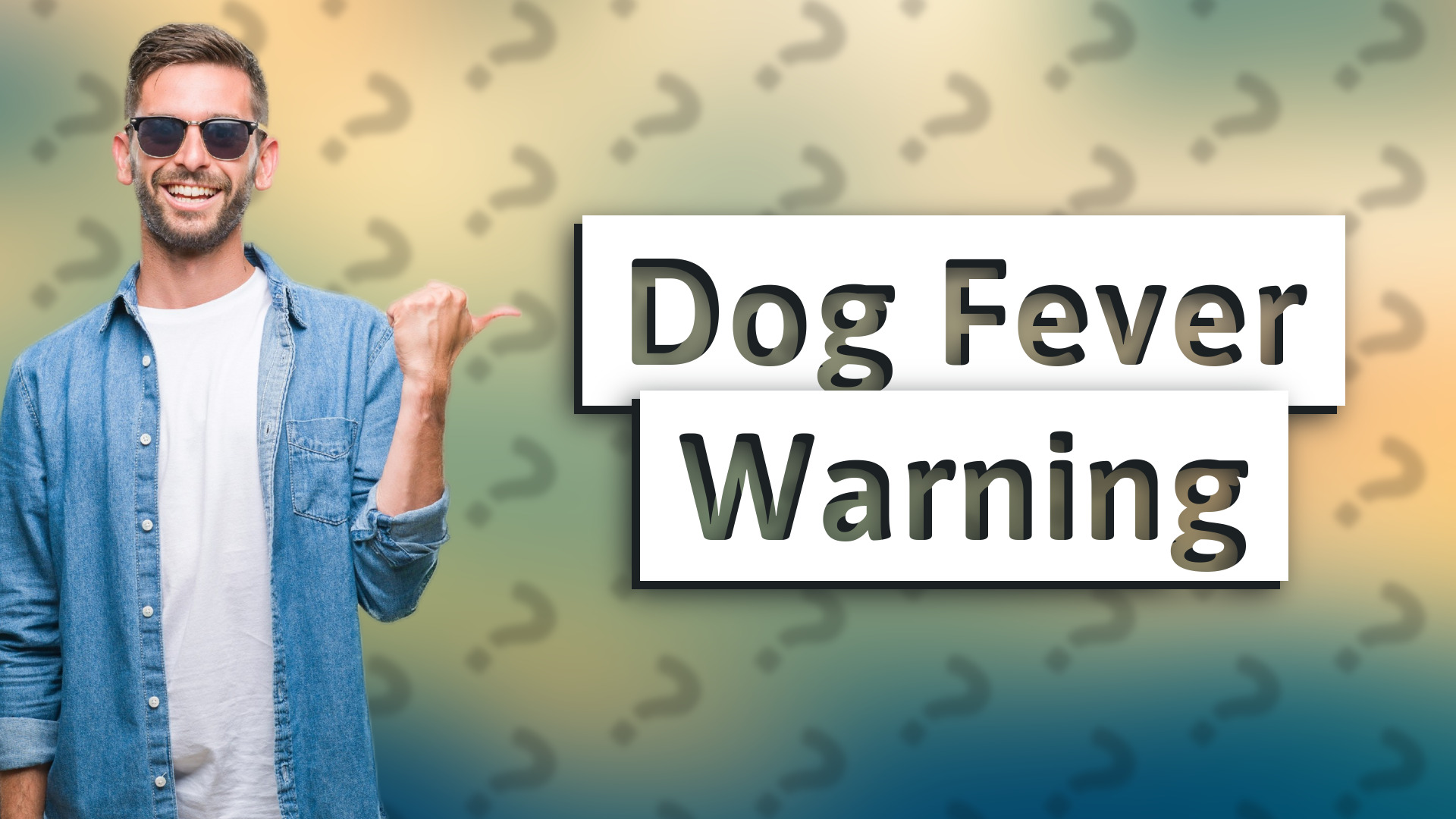 Dog Fever Warning