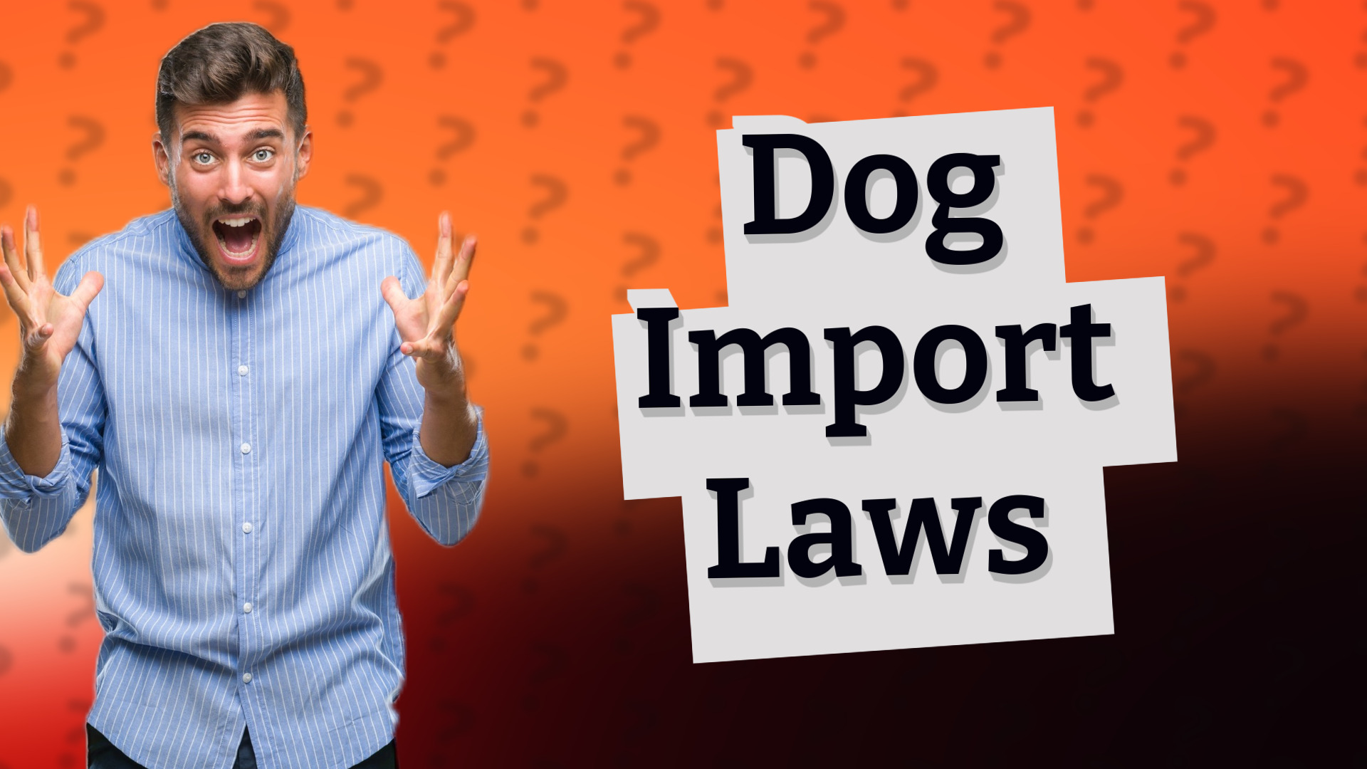 Dog Import Laws
